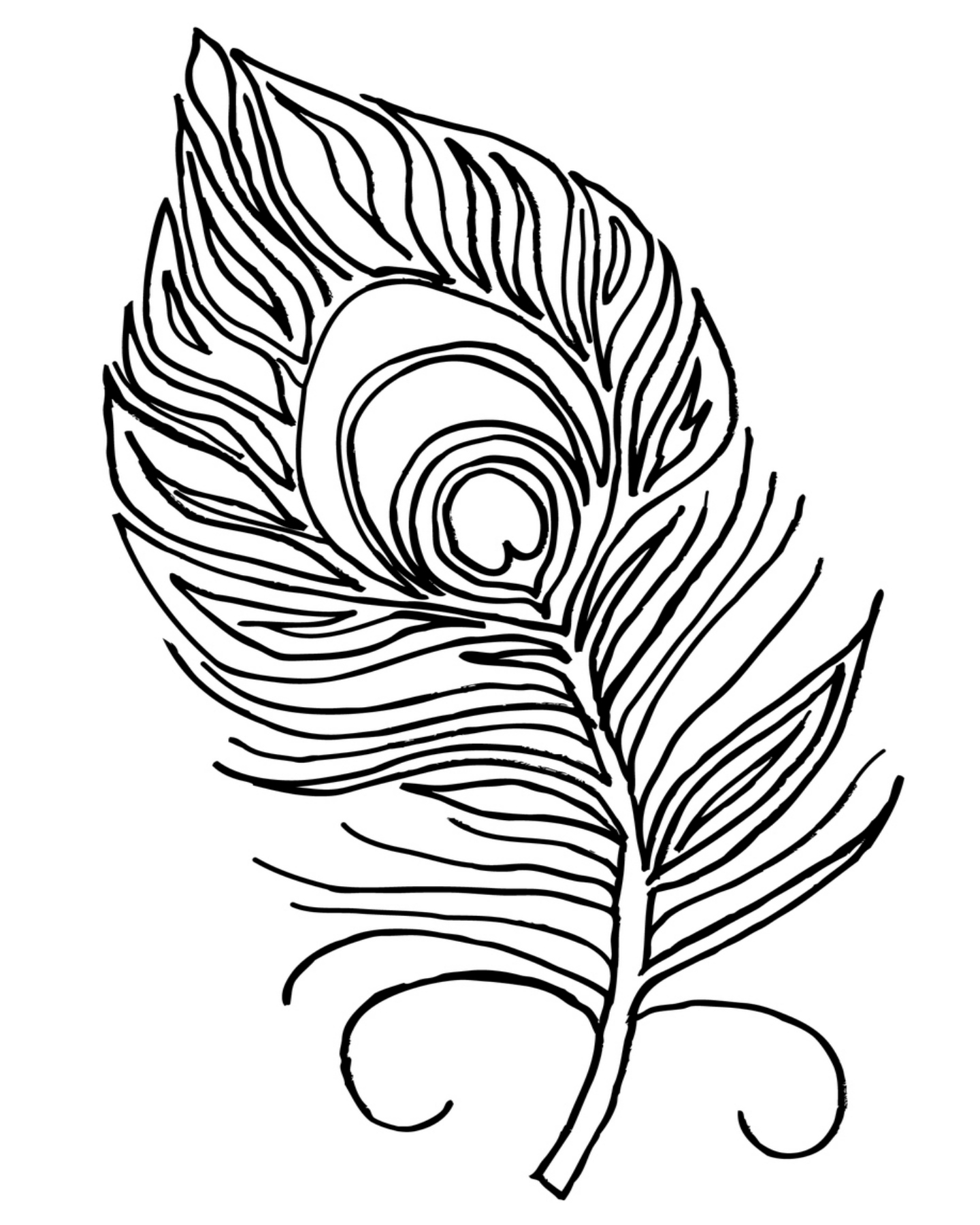 Bird Feather Coloring Pages At GetColorings Free Printable Colorings Pages To Print And Color