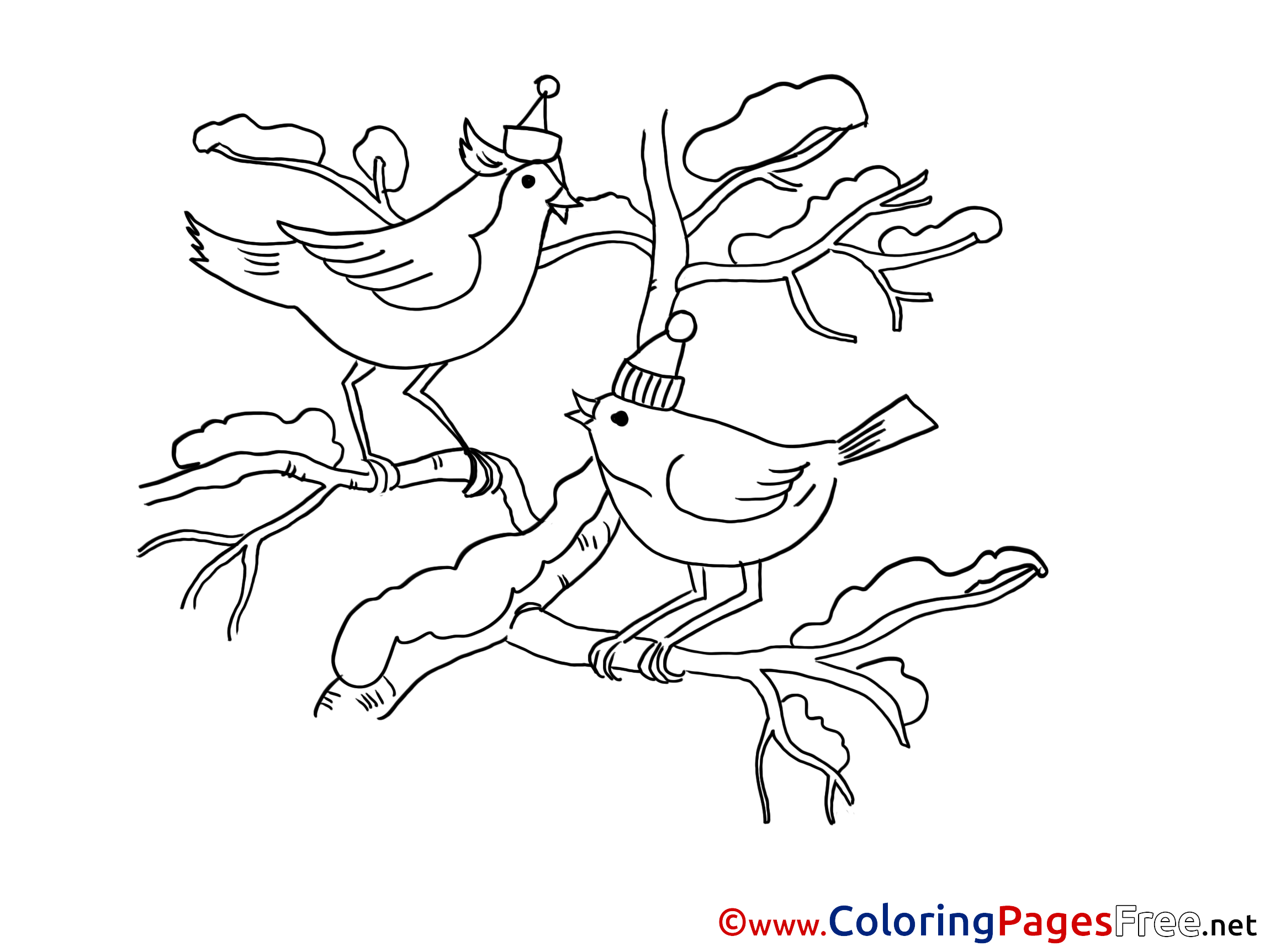 Birds Colouring Sheet Download Christmas