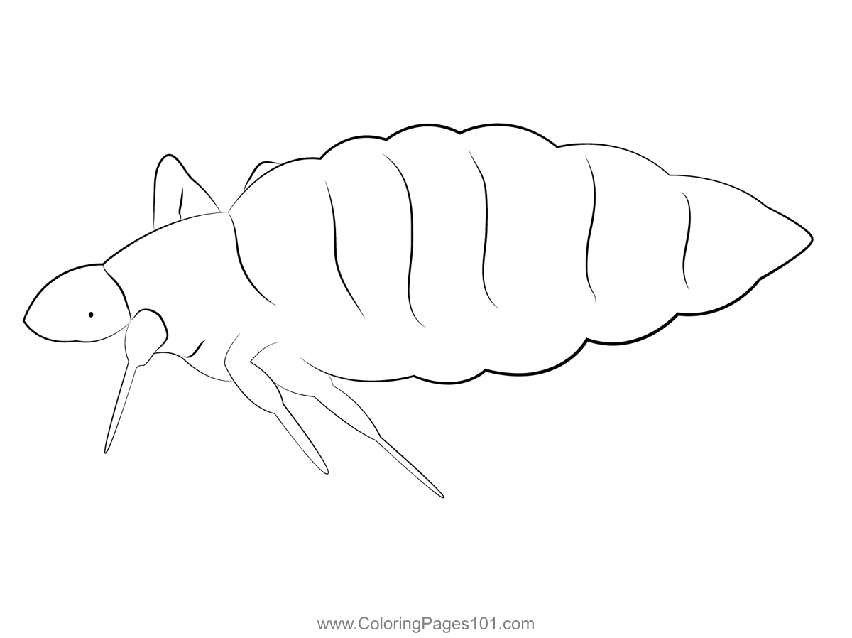 Body Lice Coloring Page For Kids Free Lices Printable Coloring Pages Online For Kids