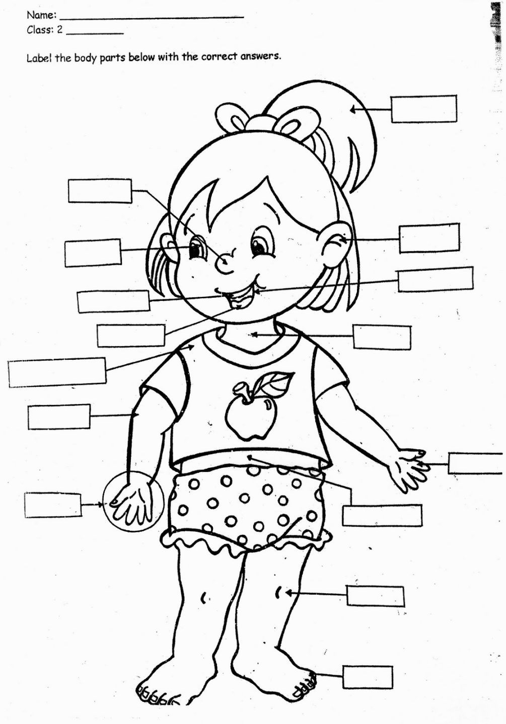 Coloring Pages Body
