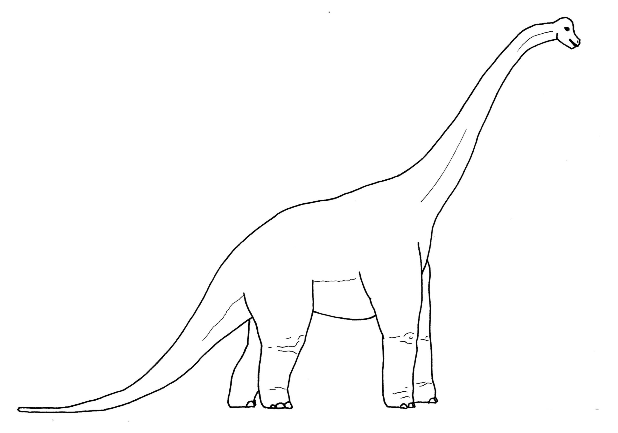 Brachiosaurus Coloring Pages Download Coloring Pages To Print Coloring Pages Animal Coloring