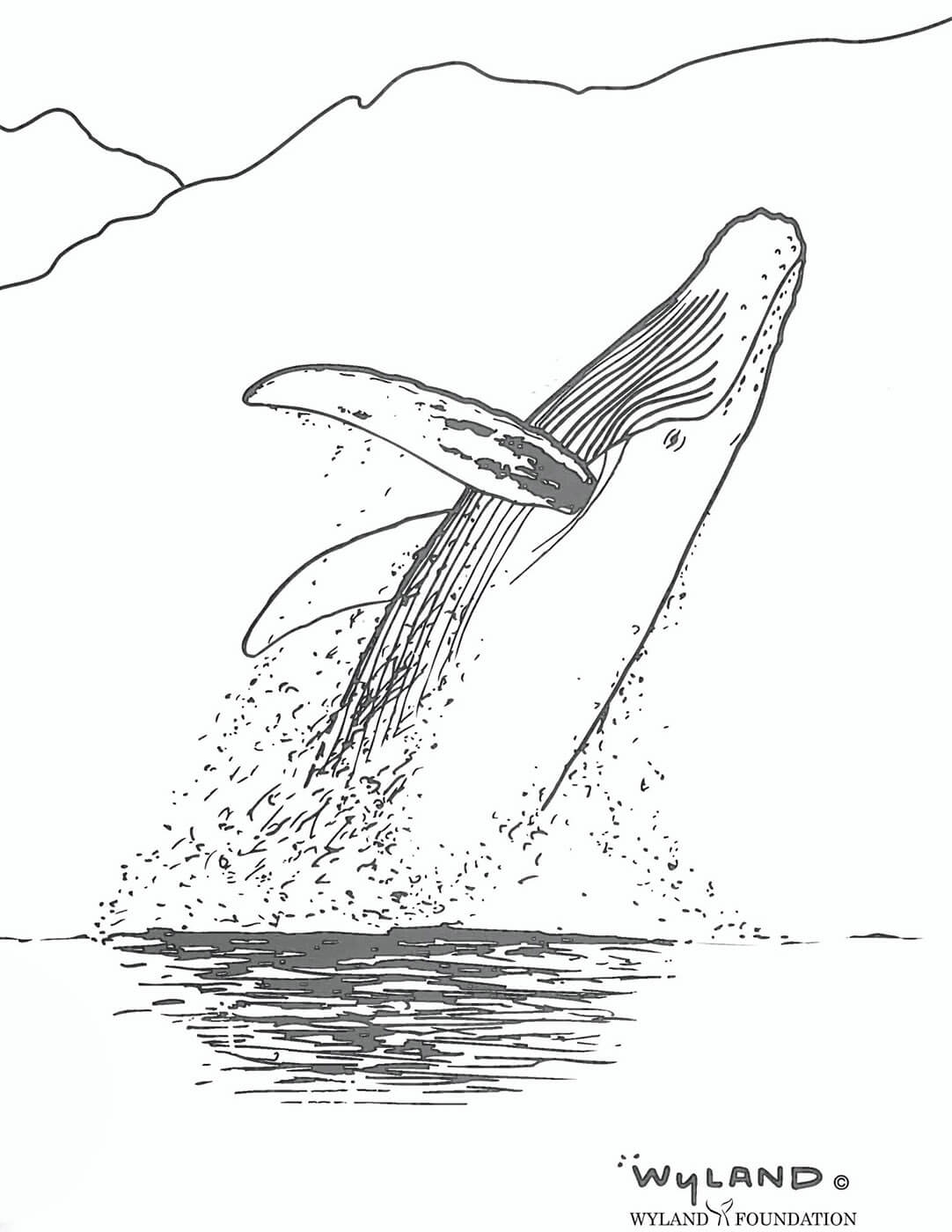 Printable Color Page Humpback Whale