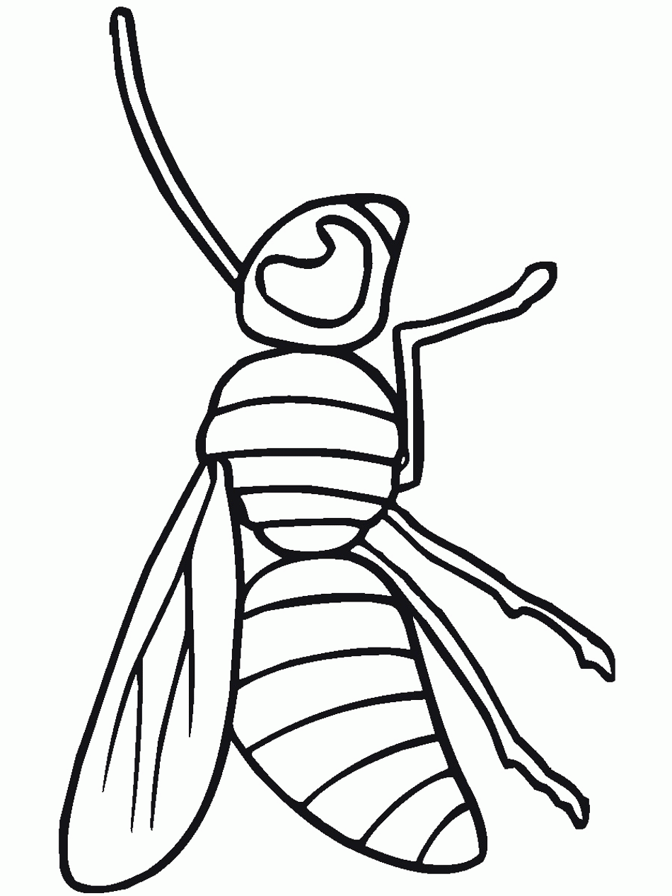 Bug Insect Coloring Pages PrimaryGames