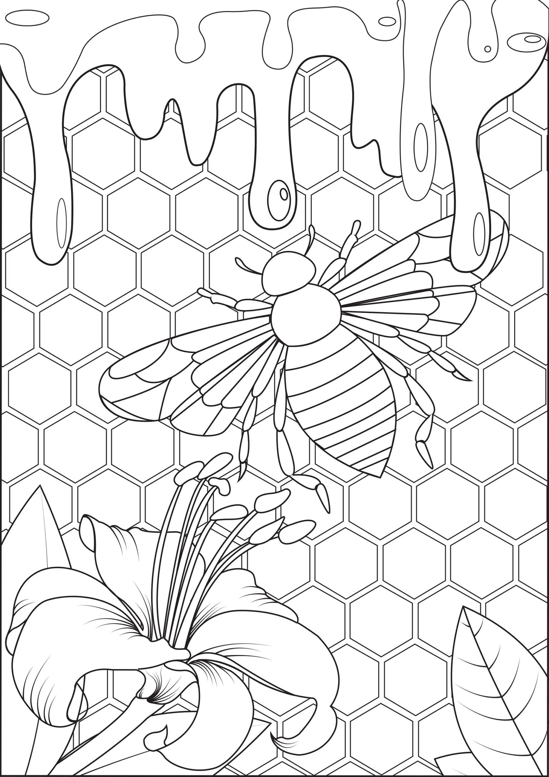 Bumblebee Coloring Page