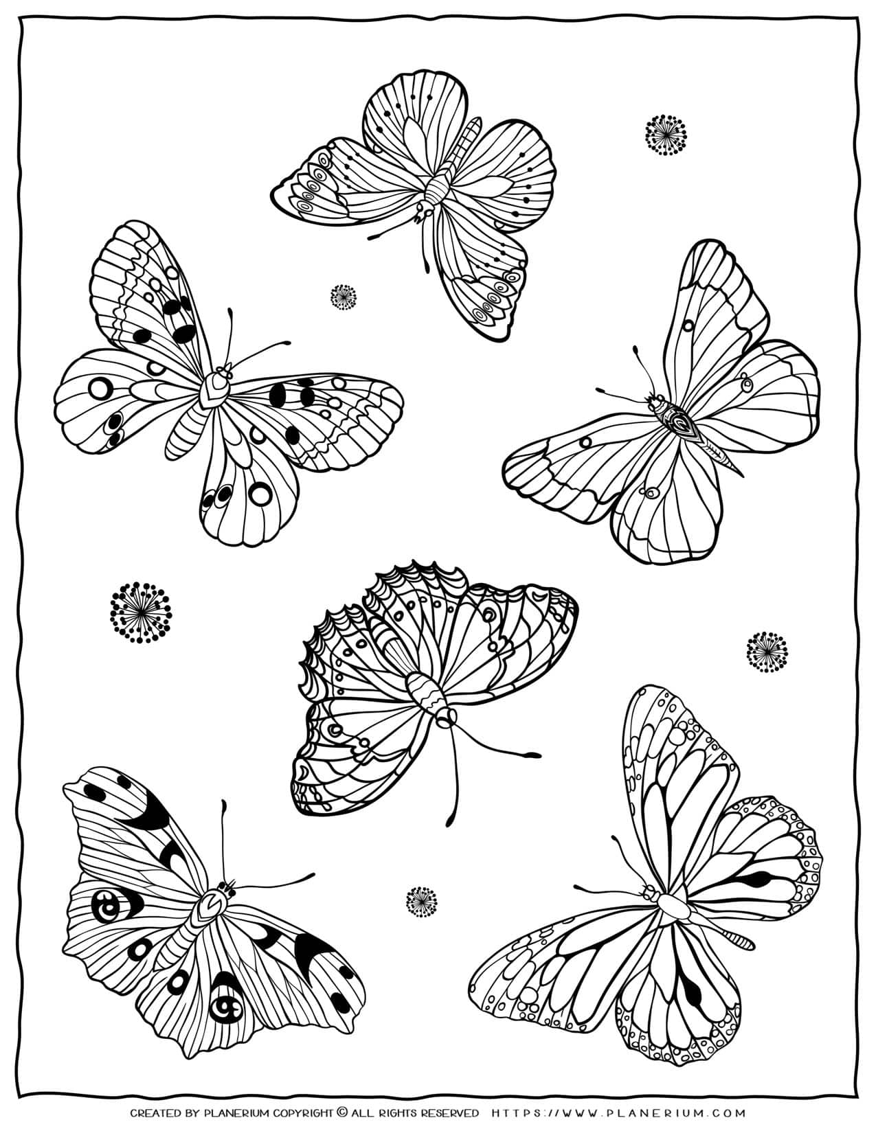Adult Coloring Pages Butterflies