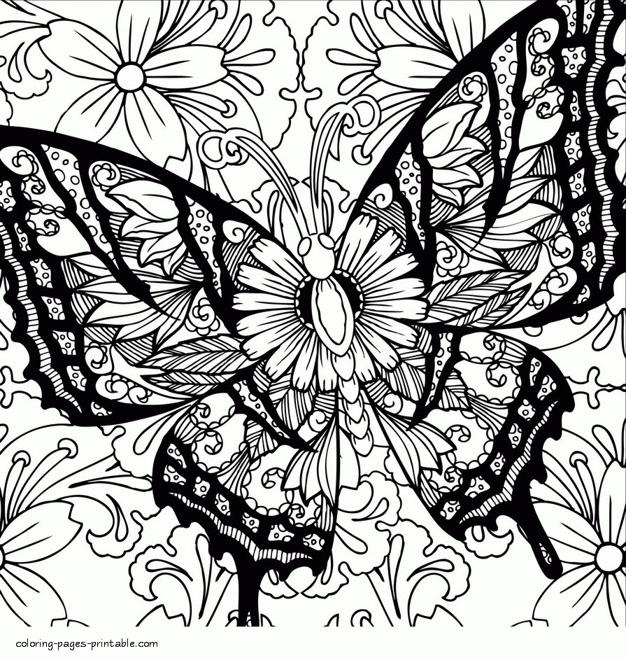 Butterfly Adult Coloring Pages