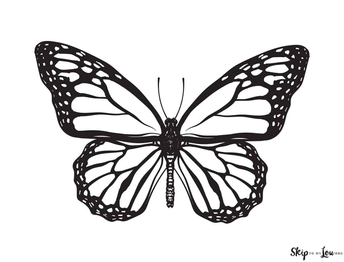 Butterfly Coloring Pages