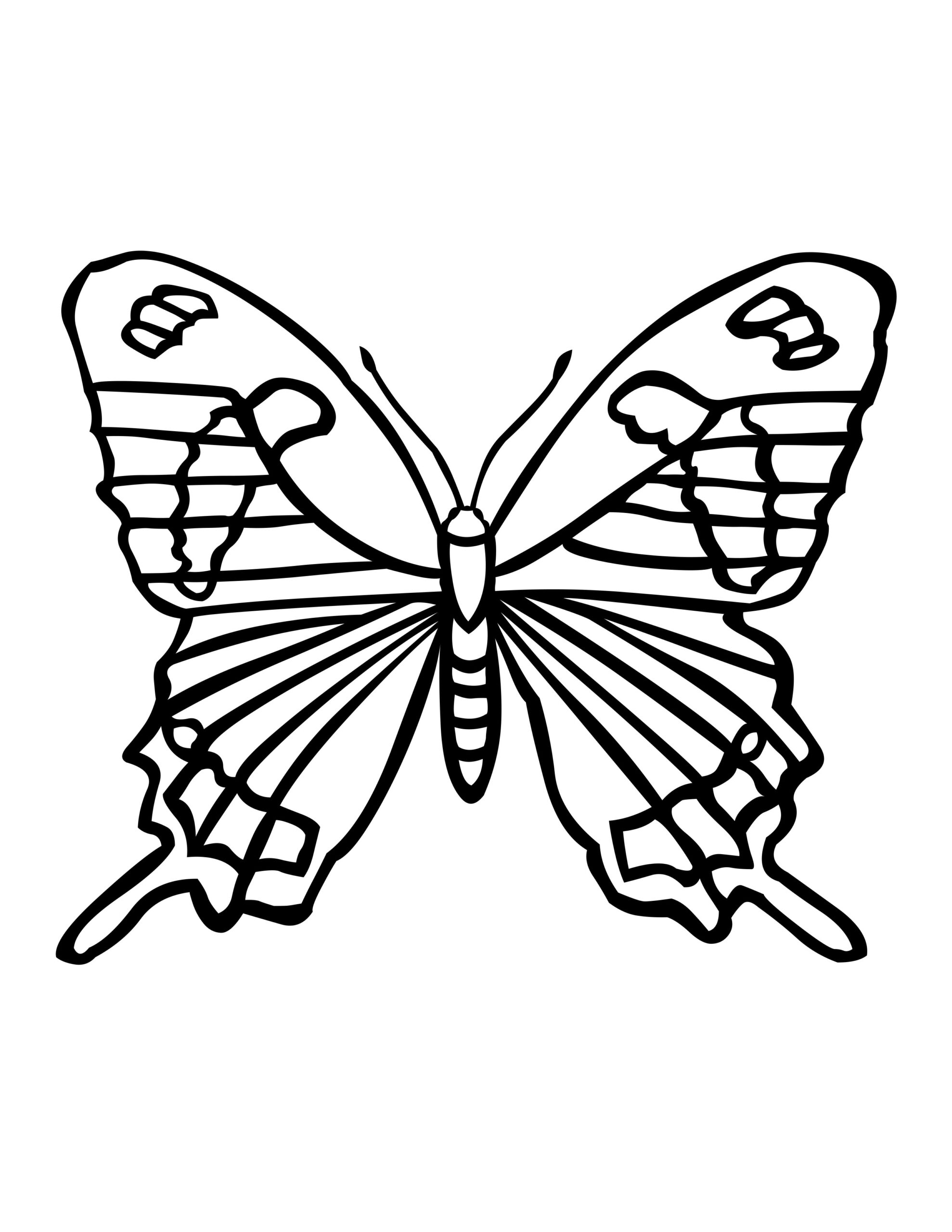 Coloring Pages Butterfly