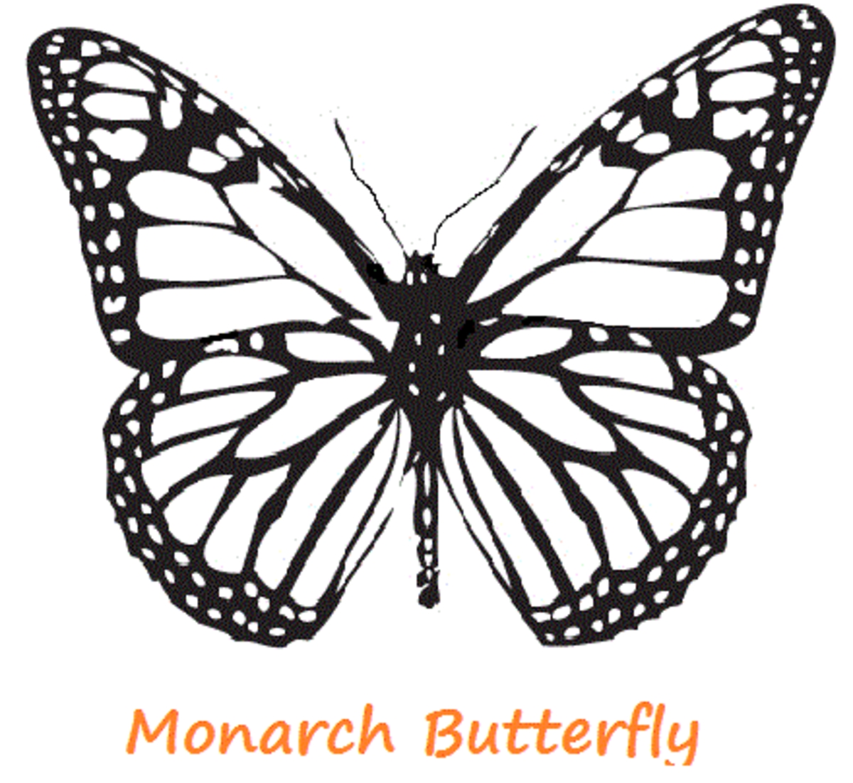 Butterfly Coloring Pages HubPages