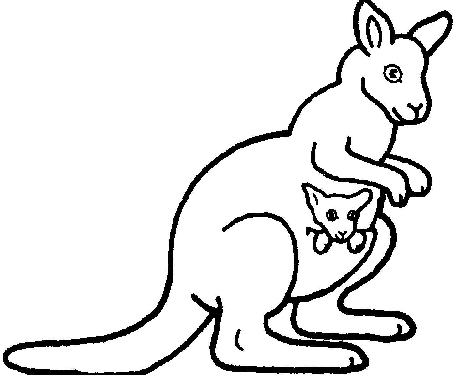 Cartoon Kangaroo Drawing At GetDrawings Free Download