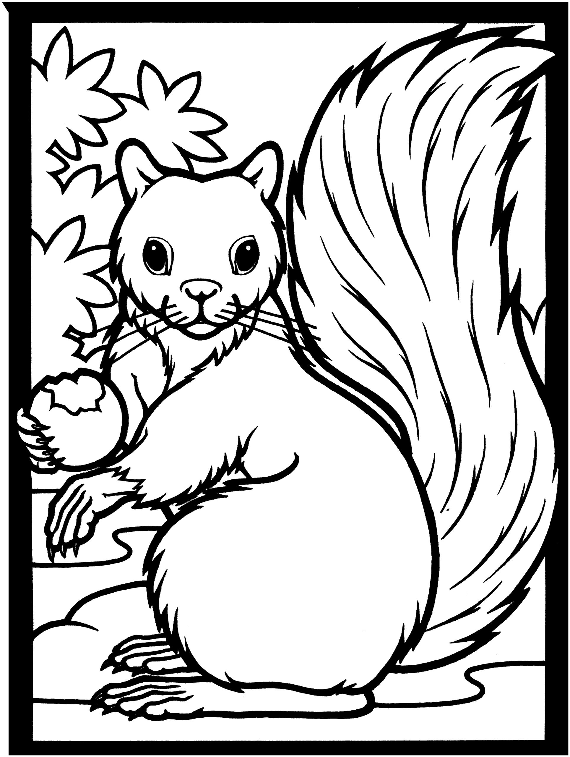 Cartoon Squirrel Coloring Pages At GetColorings Free Printable Colorings Pages To Print