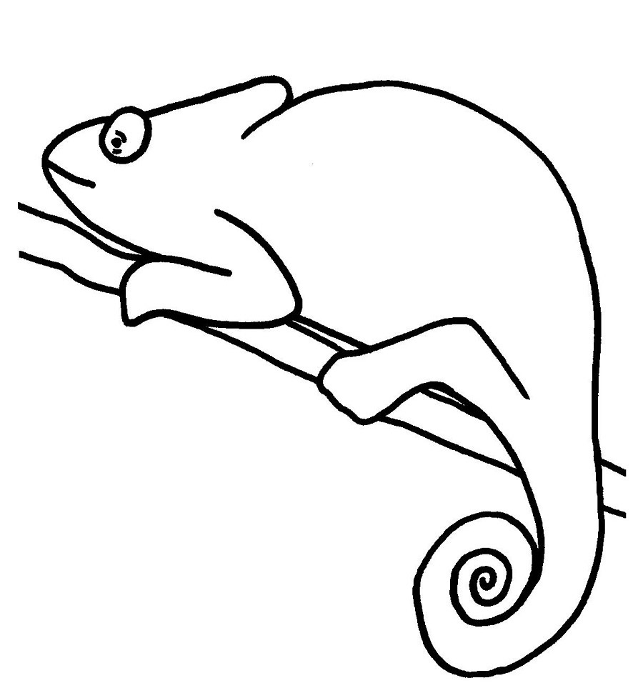Chameleon Coloring Page