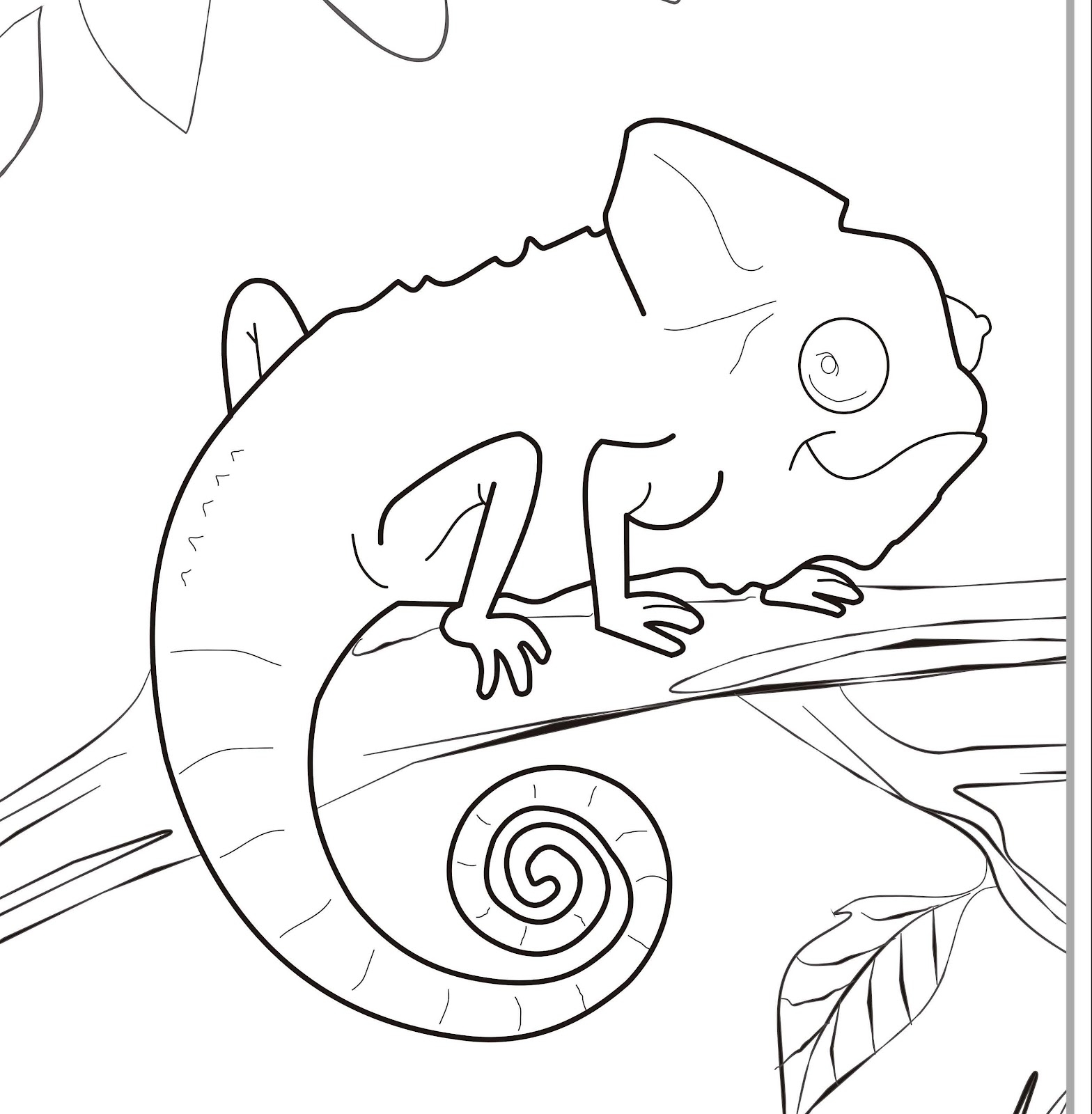 Chameleon Coloring Pages Kidsuki