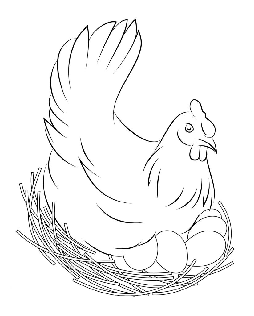 Chicken Coloring Pages To Print For Kids And Adults 101 Coloring