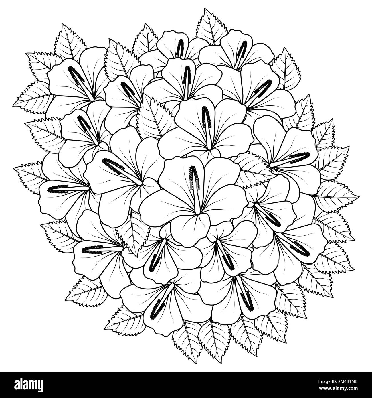 Chinese Hibiscus Flower Hand Drawn Coloring Page Illustration With Line Art On Isolated