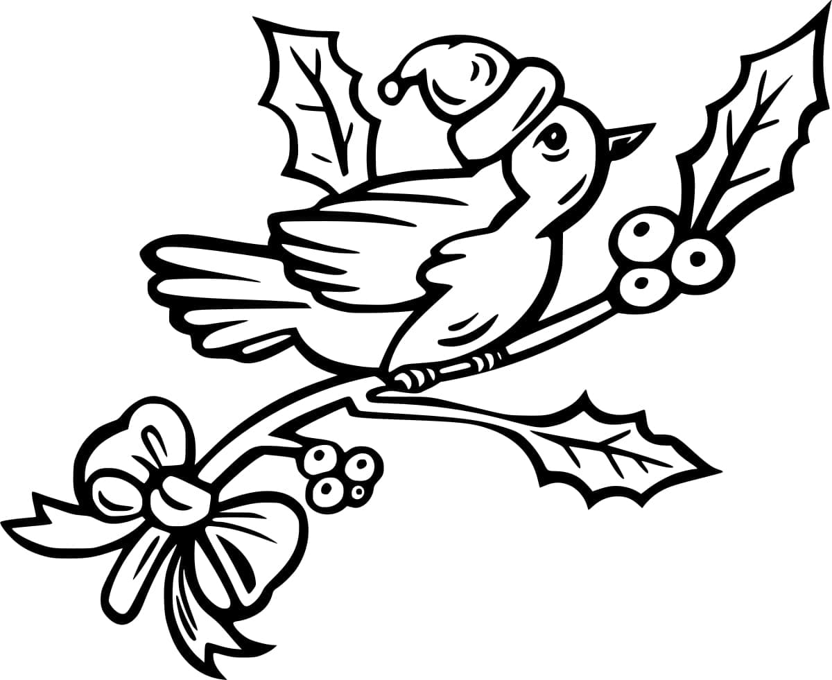 Christmas Robin Bird Coloring Page Download Print Or Color Online For Free