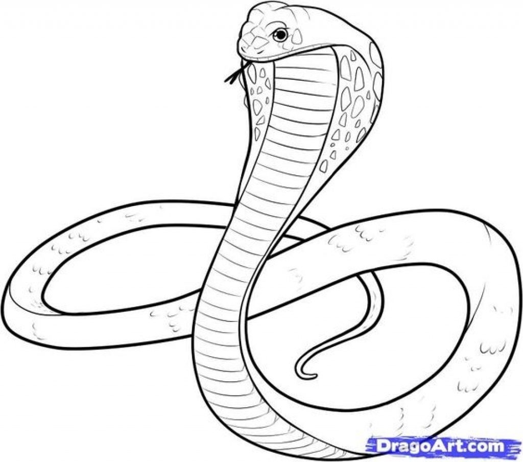 Printable Cobra Coloring Pages