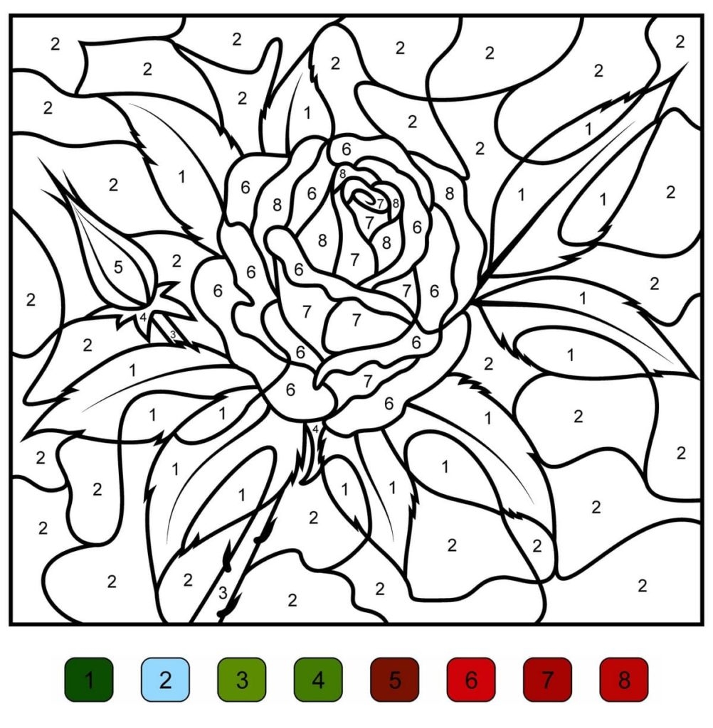 Color By Number Pages