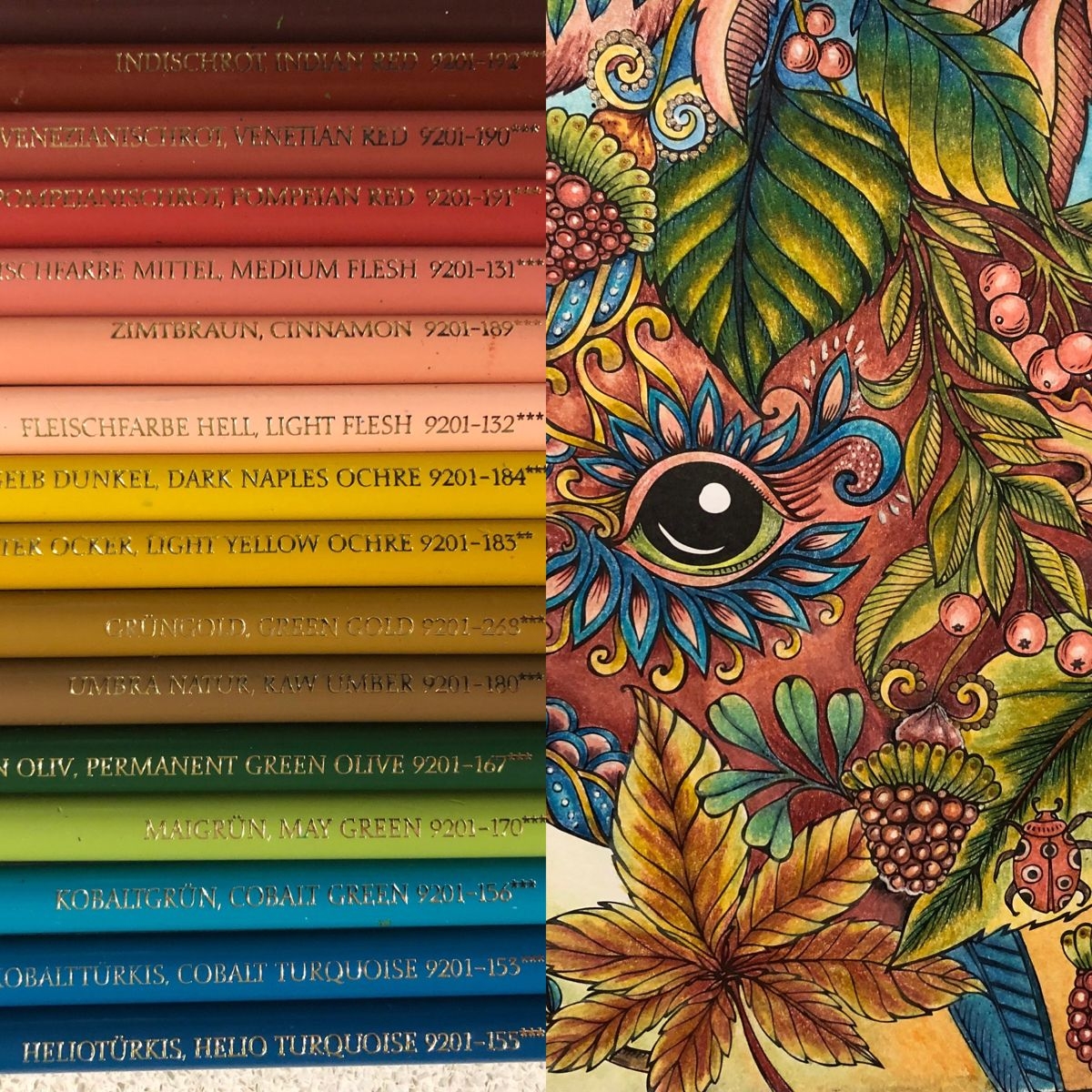 Colored Pencil Art Projects Colored Pencil Tutorial Color Pencil Art Colored Pencils Adult