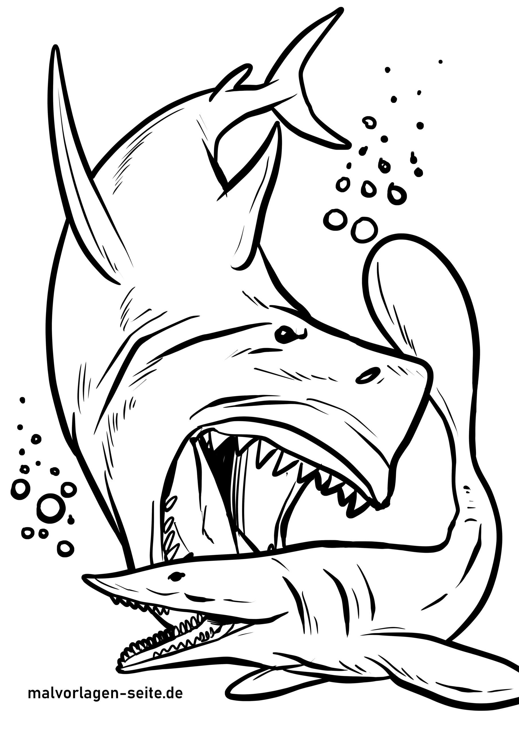 Coloriage M Galodon Dinosaure T L Chargez Le Coloriage Gratuitement