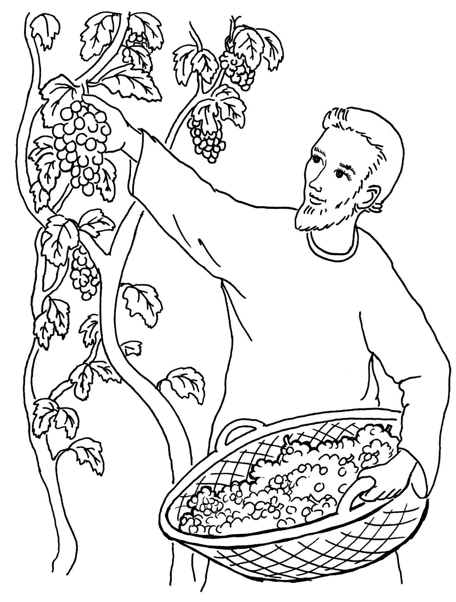 Coloriage Vendange OHBQ Info