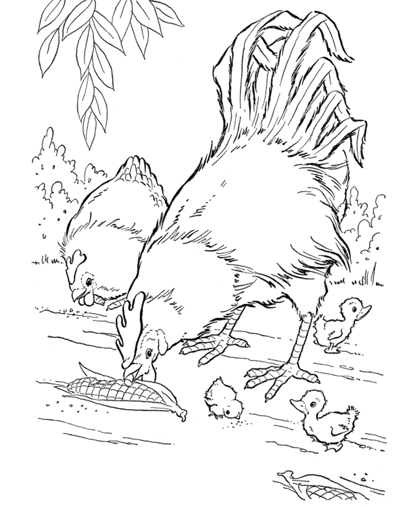 Coloring Animal