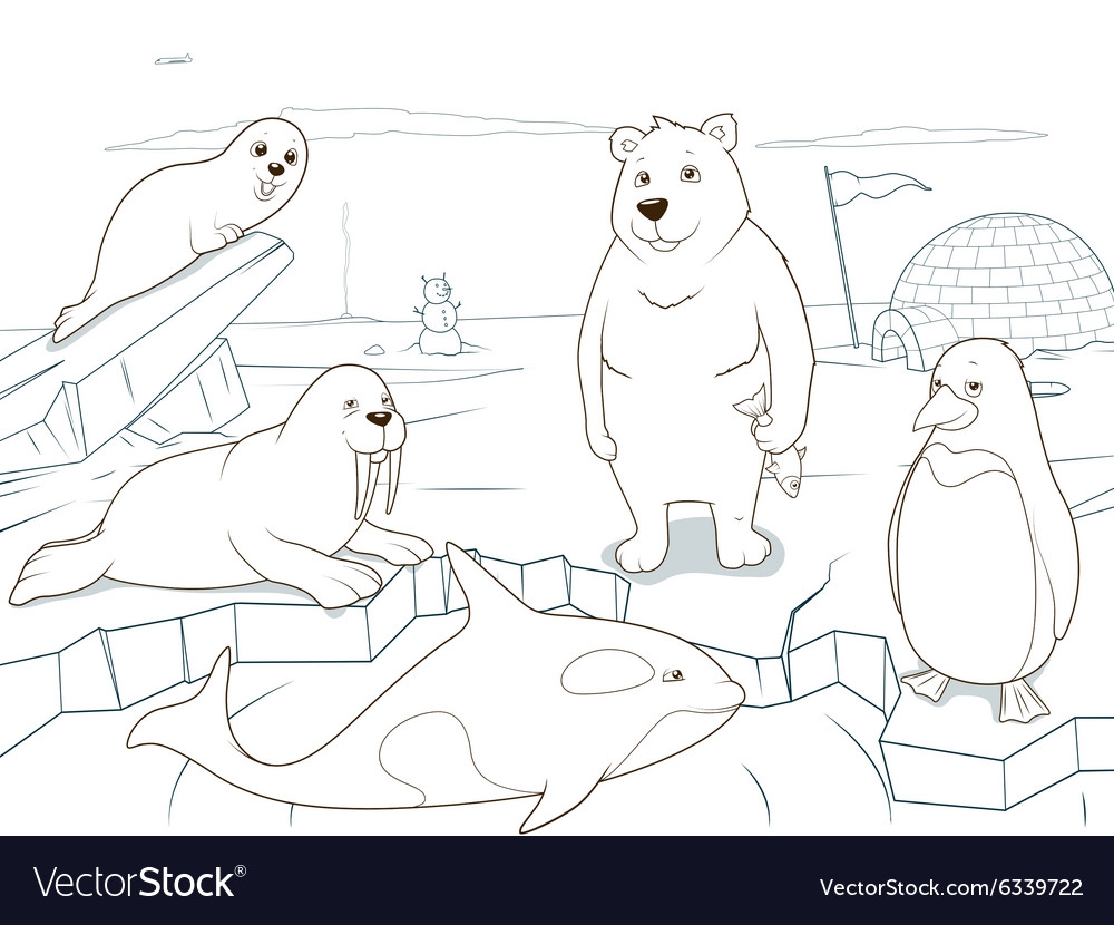 Coloring Arctic Animals