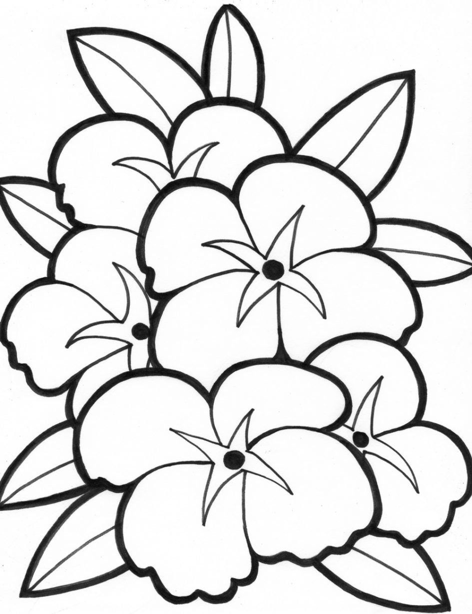 Coloring For Seniors