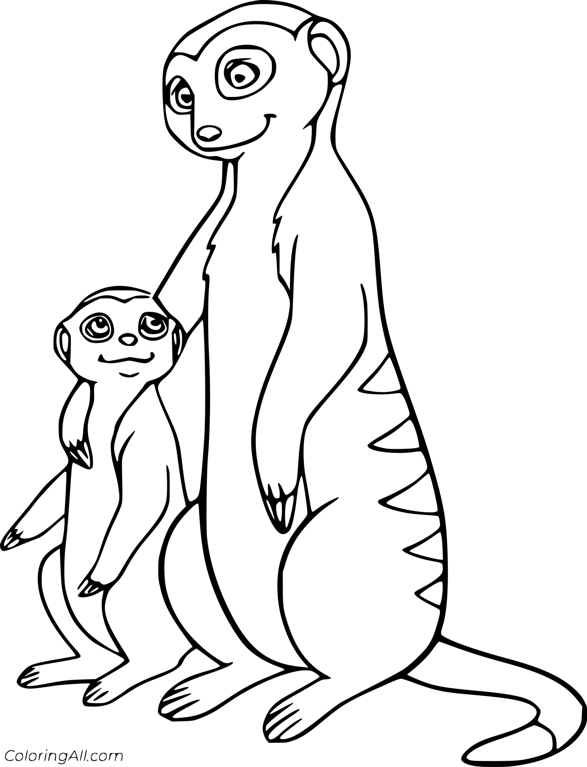 Coloring Meerkat Pages Standing Upright Drawing Color Printable Comments Supercoloring