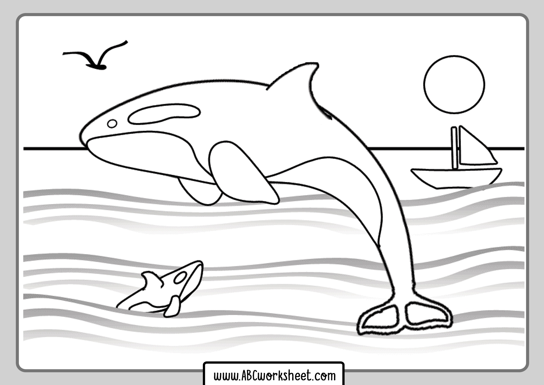 Killer Whale Coloring Page