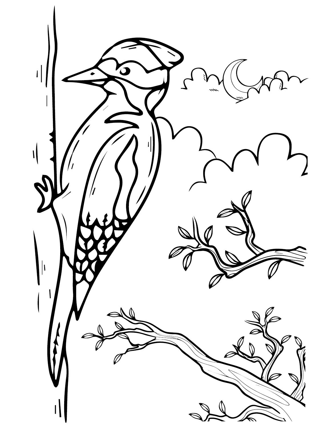 Coloring Page Woodpecker Free Printable Coloring Pages