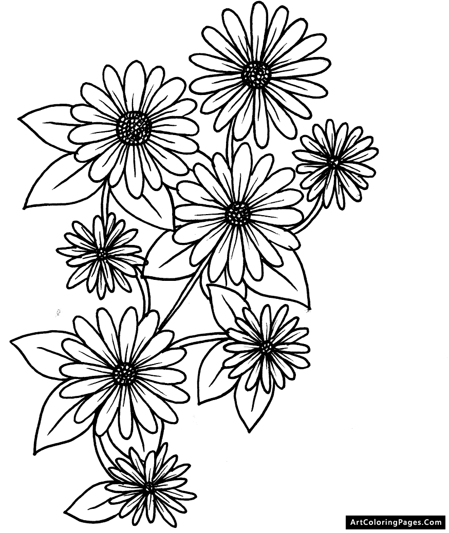 Coloring Pages And Daisy