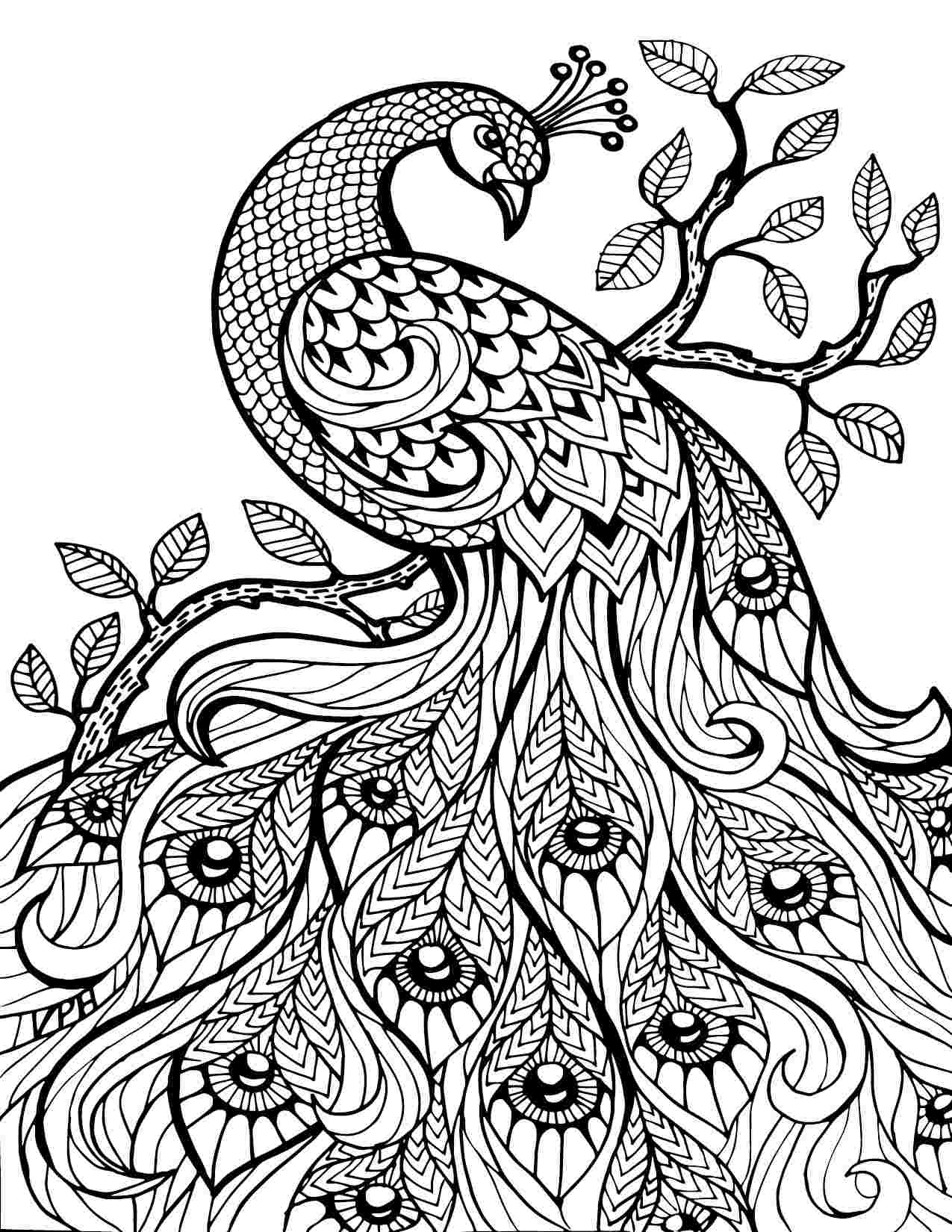 Coloring Pages Center For Prevention And Outreach