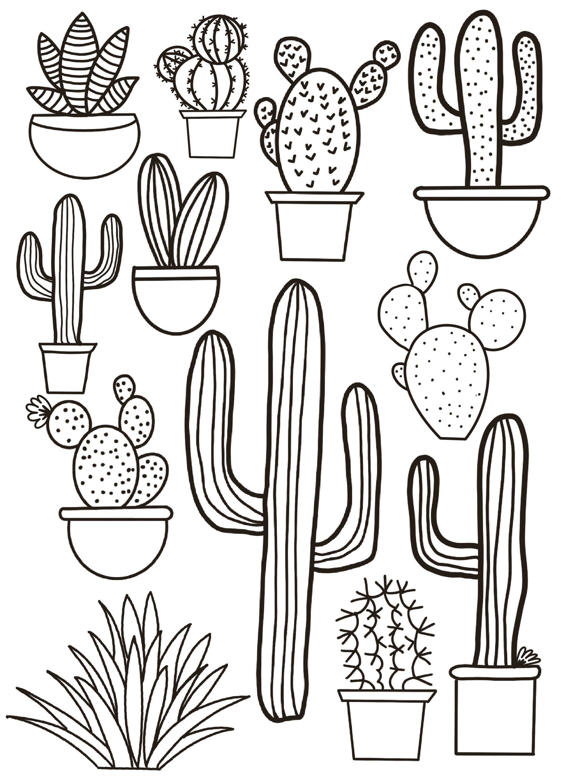 Coloring Pages For Cacti