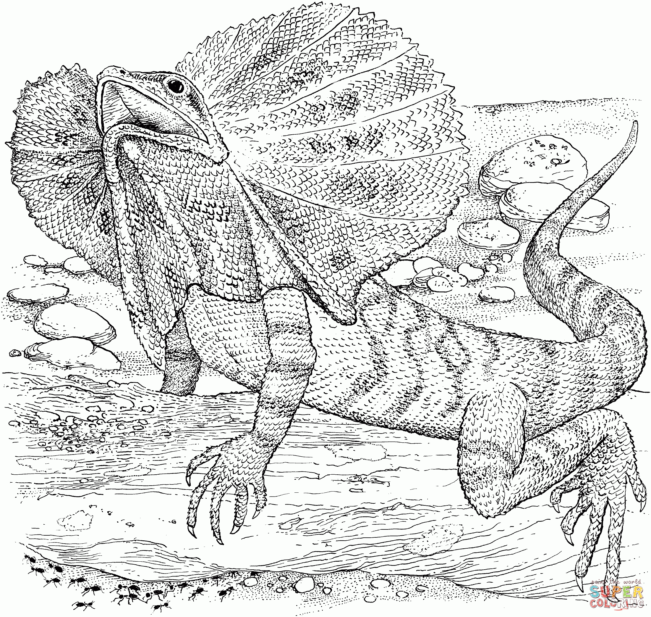 Coloring Pages Of A Lizard Coloring Home