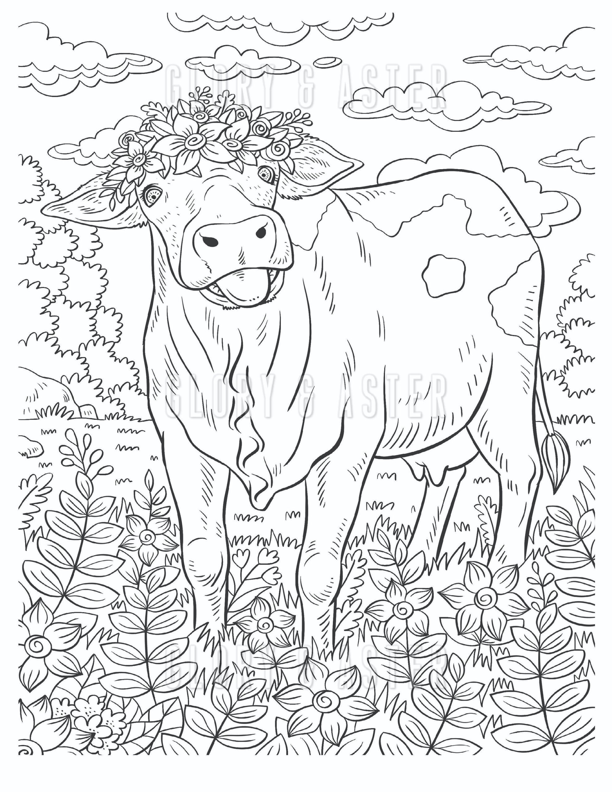 Cow Coloring Page