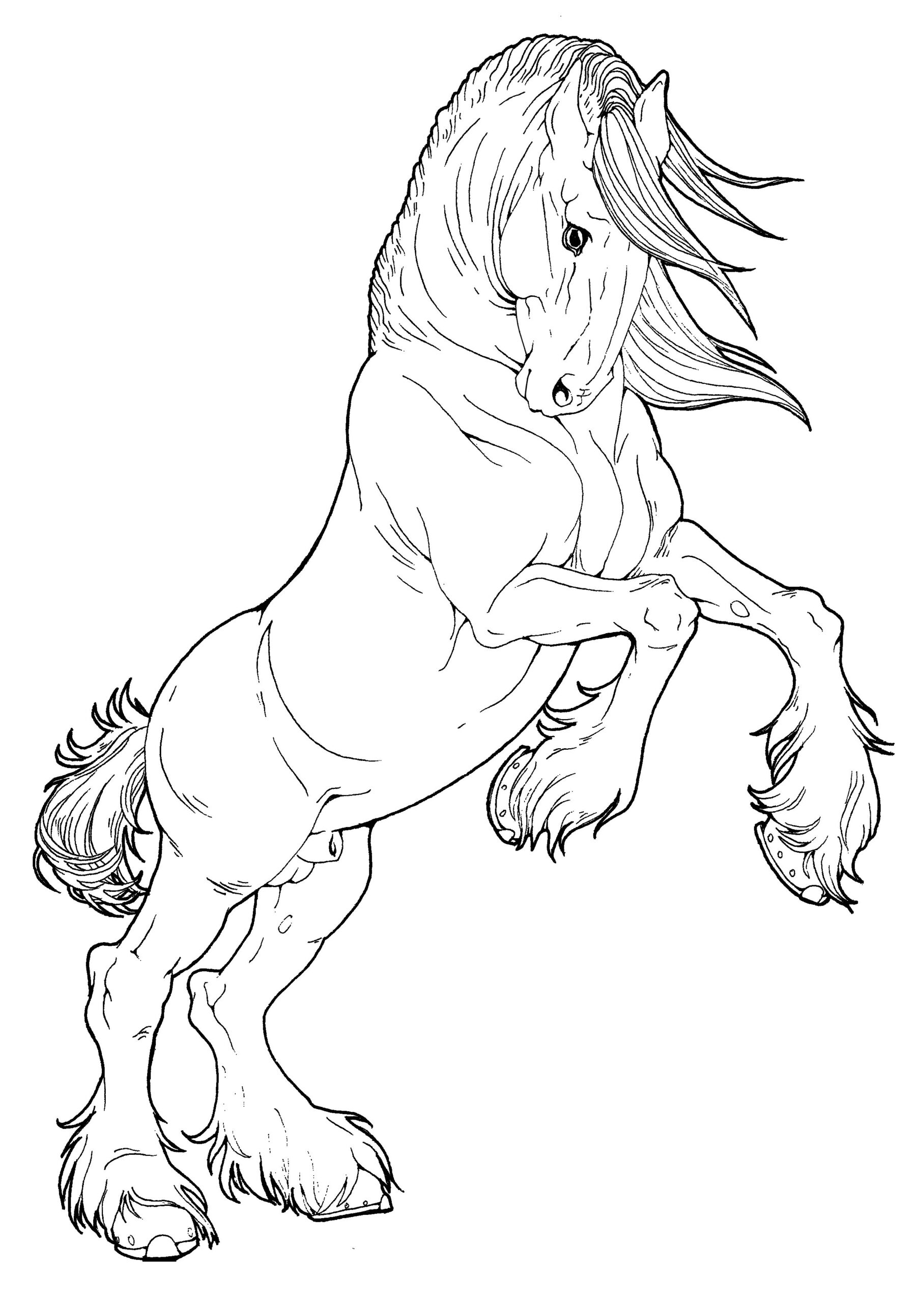 Coloring Pages Of Horses Rearing At GetColorings Free Printable Colorings Pages To Print
