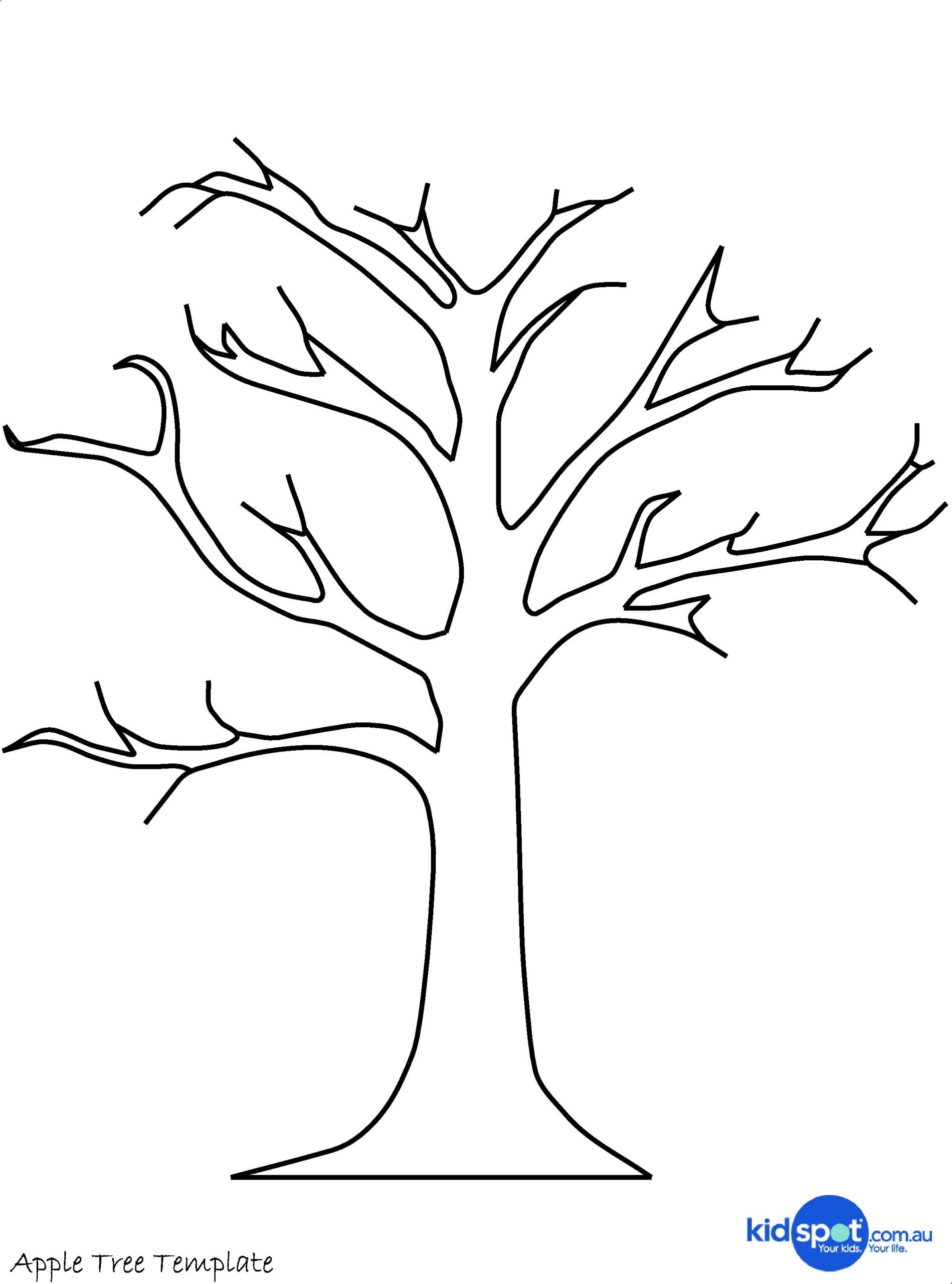 Tree Branch Coloring Page