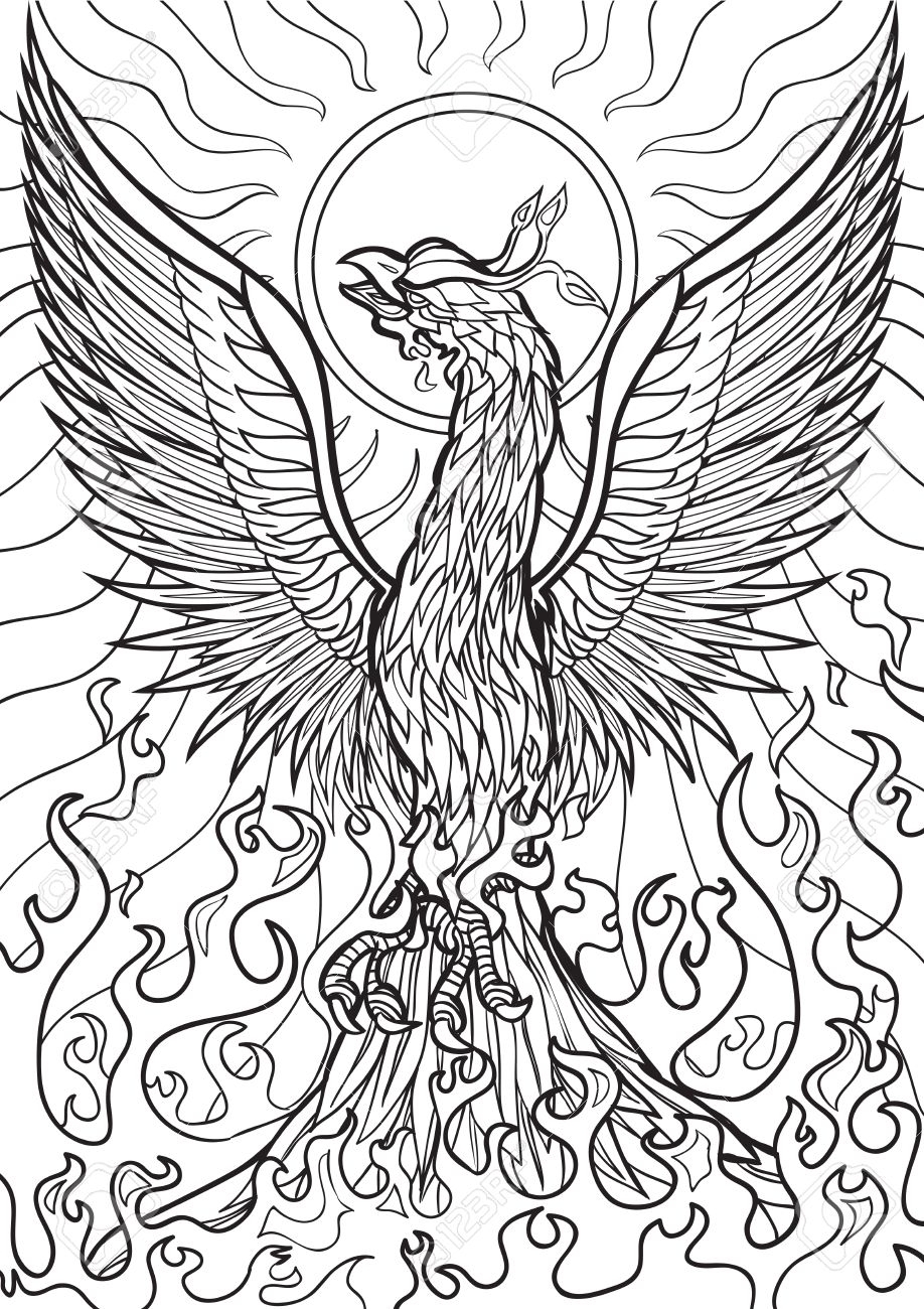 Coloring Pages Phoenix At GetDrawings Free Download