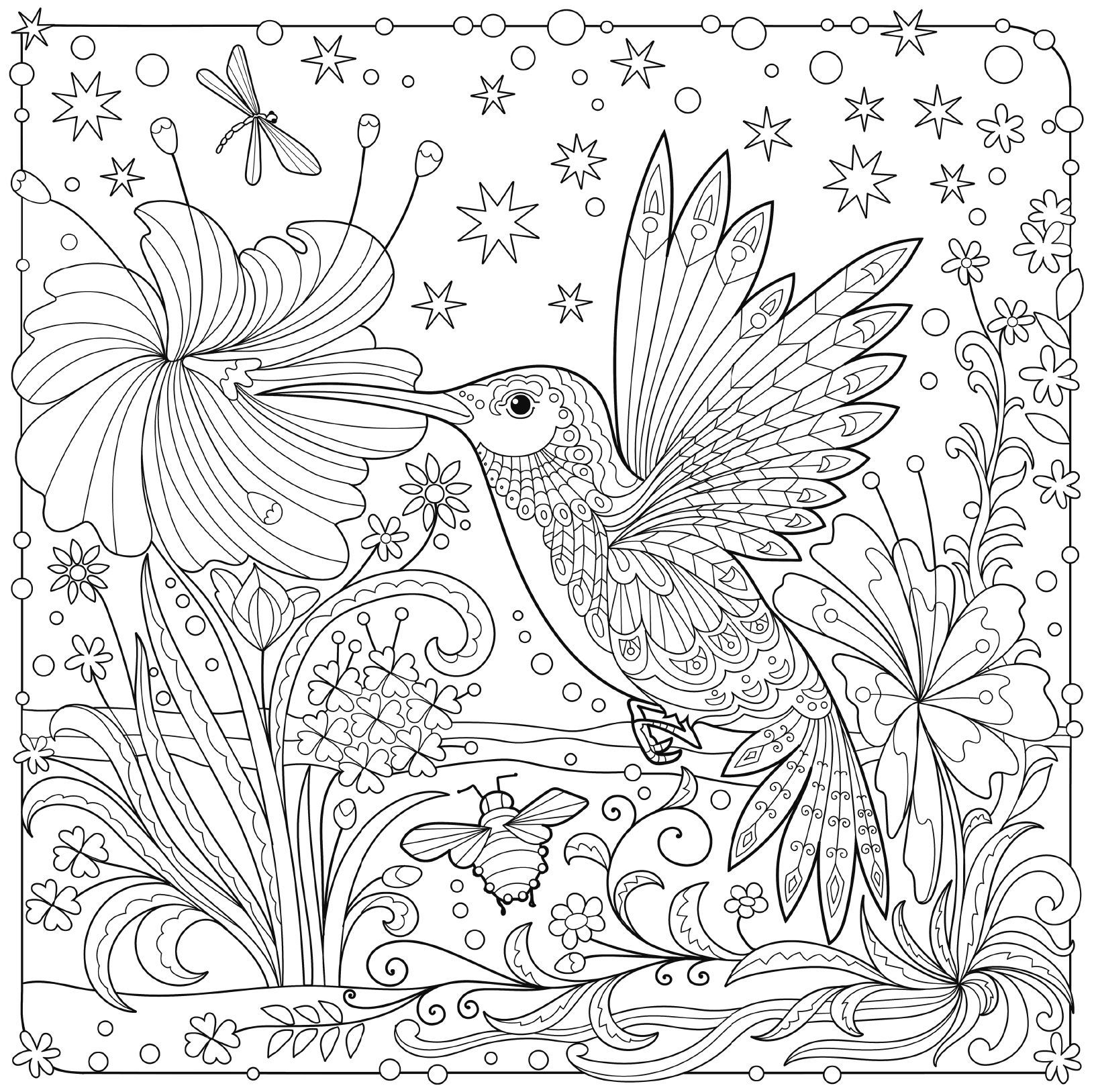 Colouring Pages For Adults Birds