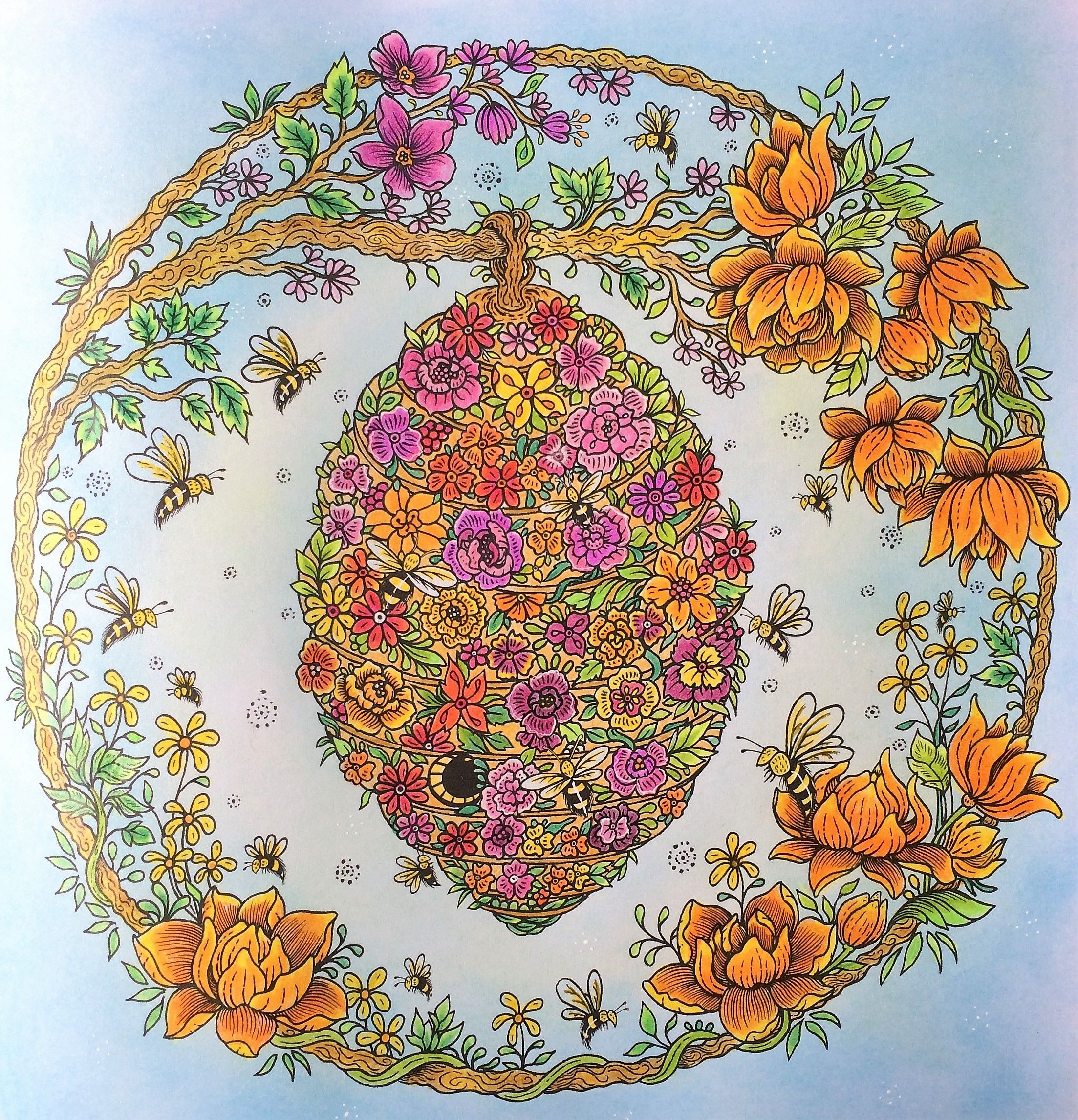 Completed With Colouring Pencils By Carol J Thorpe Coloring Book Art Colouring Pages Adult