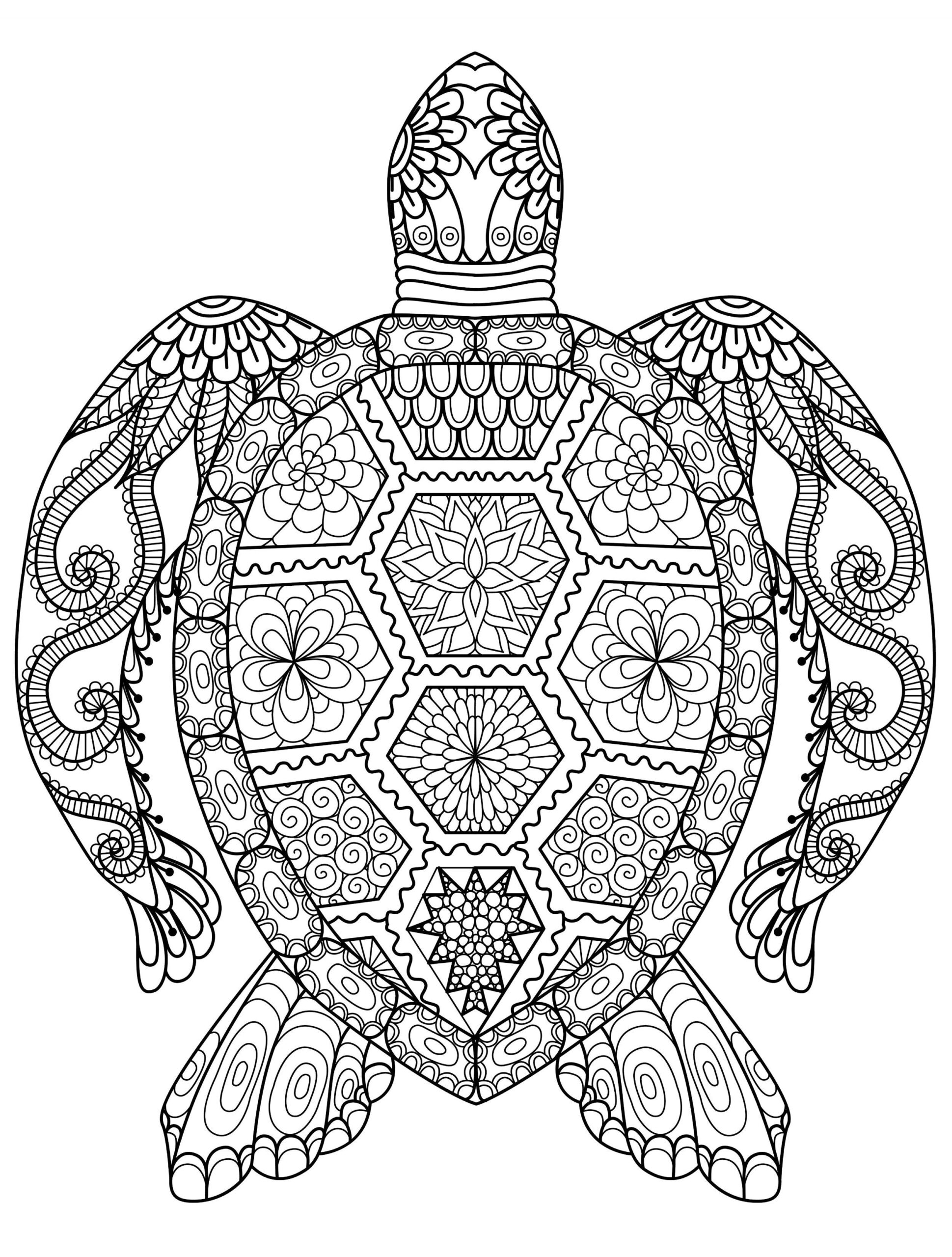 Cool Coloring Page