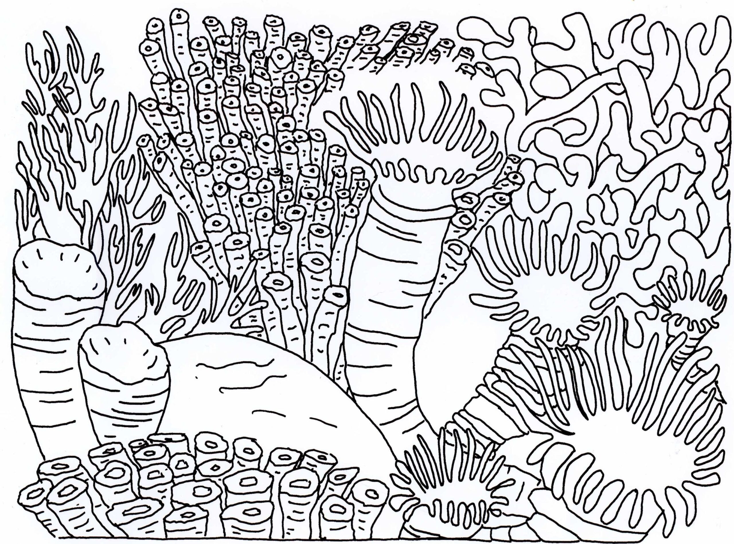 Coral Reef Coloring Page