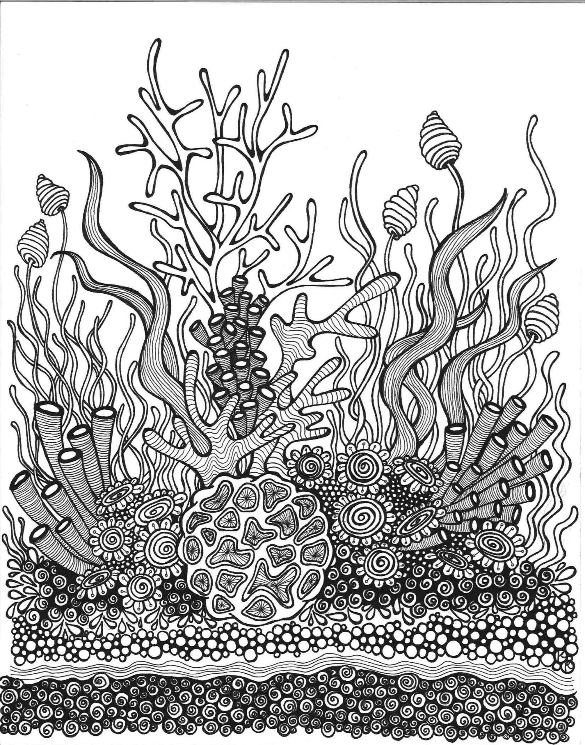 Coral Reef Plants Coloring Pages Reef Coloring Pages At GetDrawings Free Download The Term