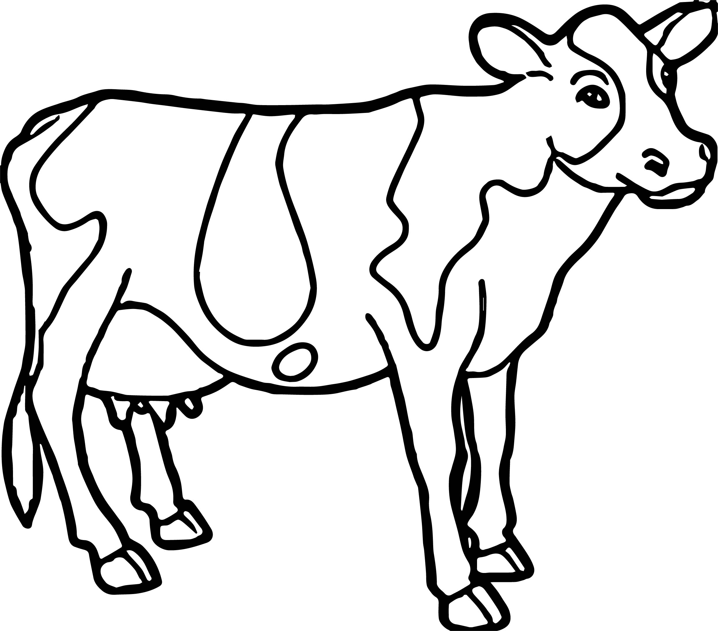Cow Coloring Pages At GetDrawings Free Download