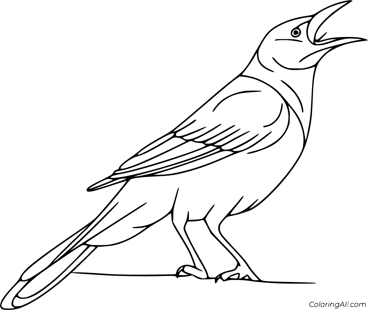 Crow Coloring Pages 10 Free Printables ColoringAll
