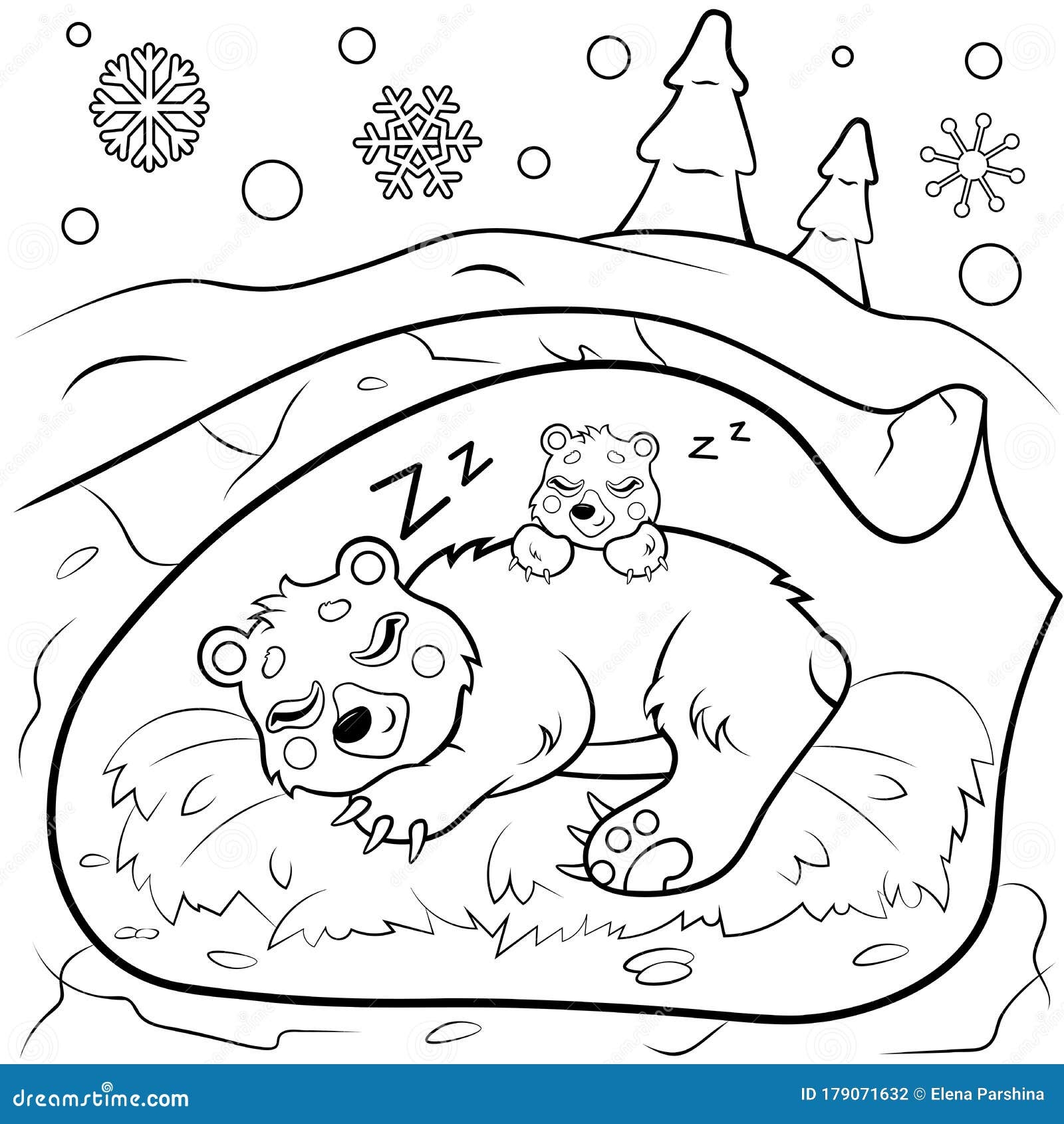 Cute Cartoon Sleeping Bears In Den In Winter Vector Coloring Page Bear Mom With Her Cub