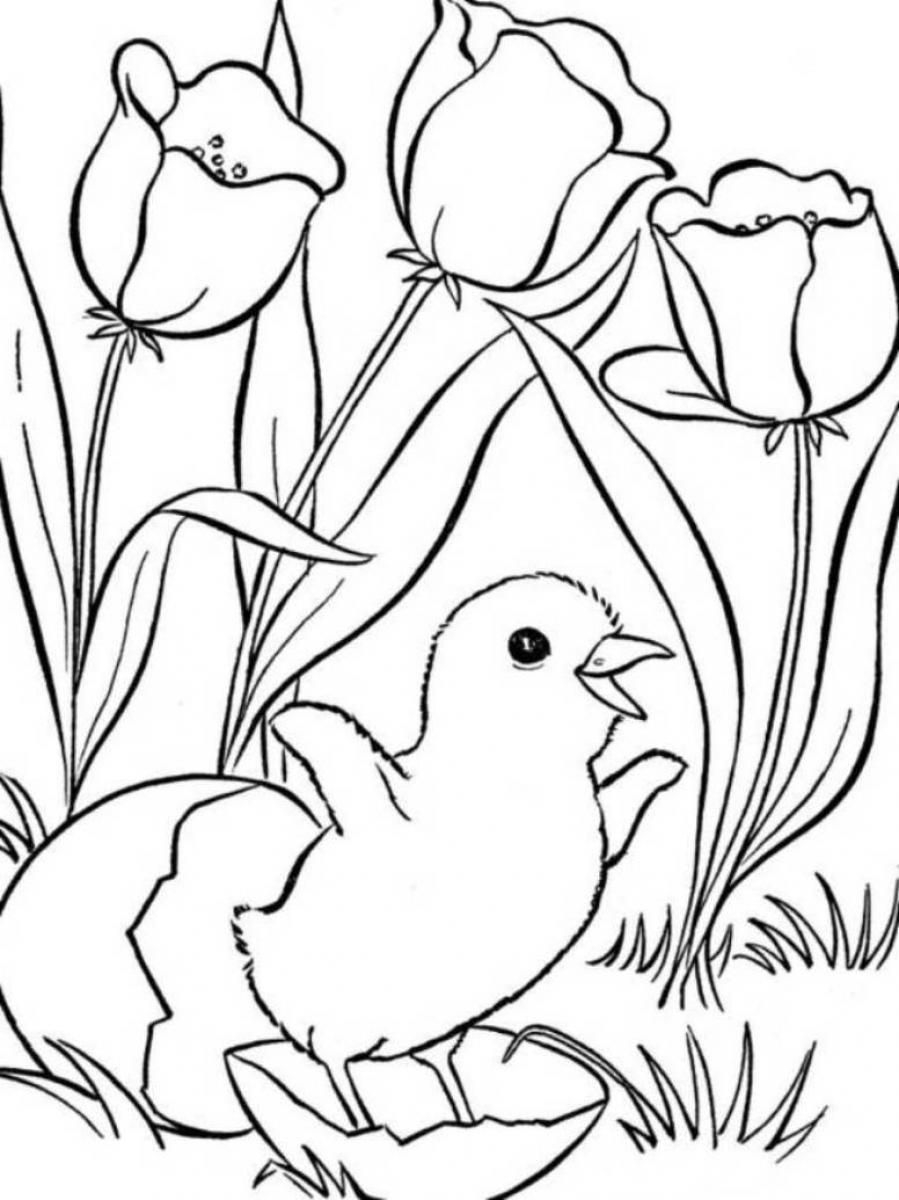 Cute Spring Coloring Pages Coloring Home