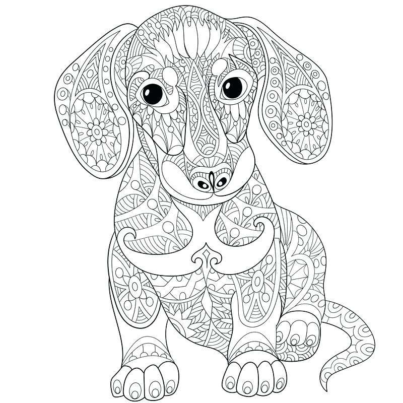 Dachshund Coloring Pages Printable At GetColorings Free Printable Colorings Pages To Print