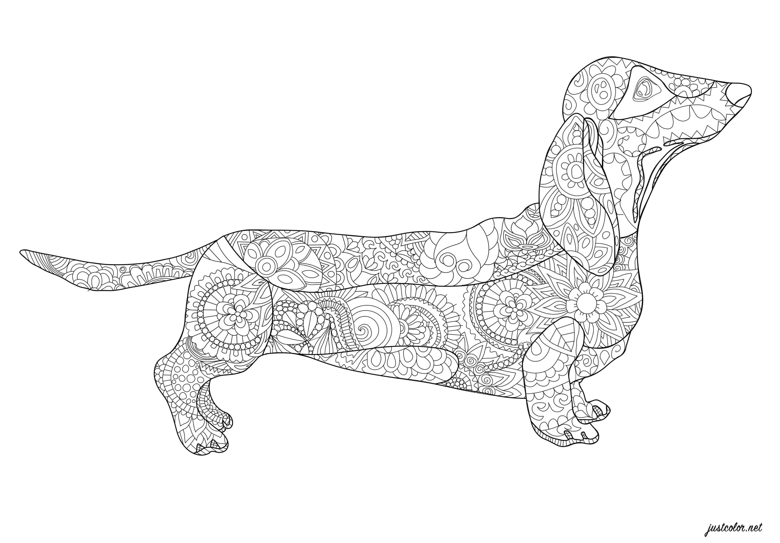 Printable Dachshund Coloring Page